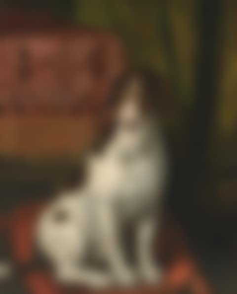 A spotted dog seated on a cushion (preview)