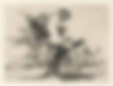 Los Desastres de la Guerra (preview)