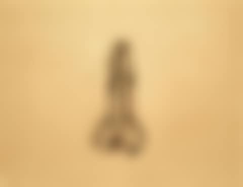 Tinsnip (preview)