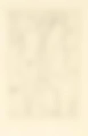 Mann mit weiblichem Akt (Man with female nude) (preview)