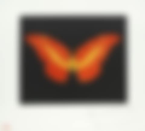 Orange Butterfly (small) (preview)