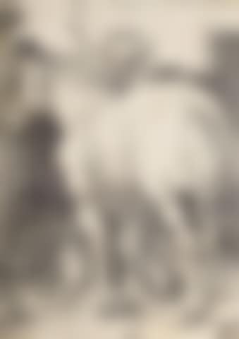 The Large Horse (preview)