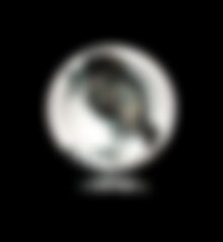 Oiseau au ver (A.R. 172) (preview)