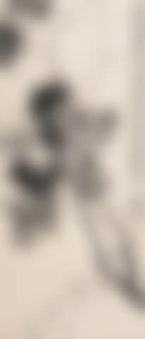 Grapes (preview)
