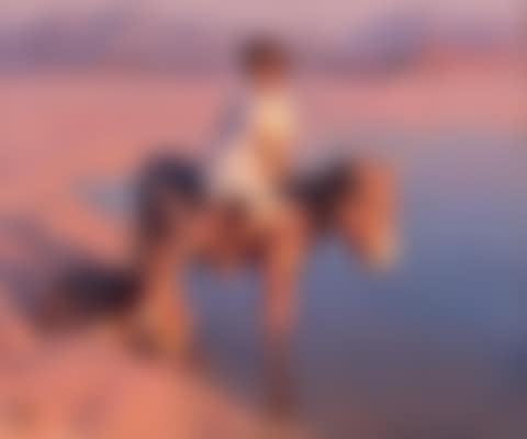 Donkey (preview)