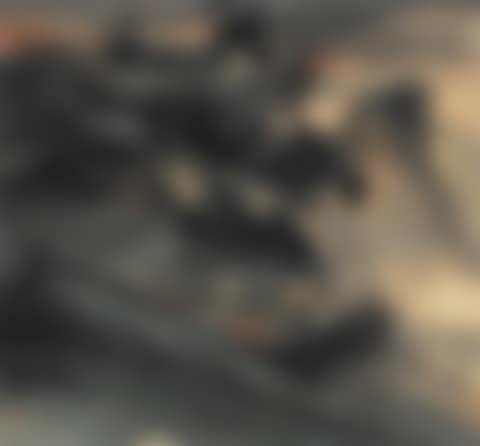 Landscape (preview)