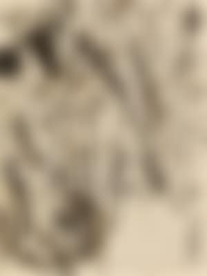 Selbstentfaltung (preview)