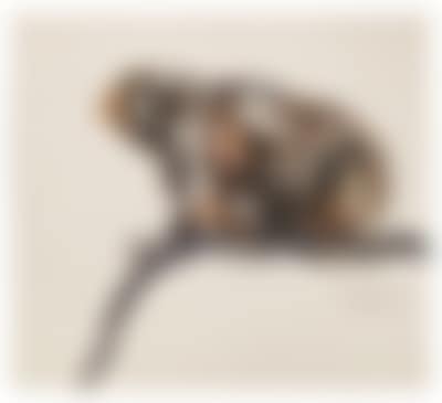 Three white-eared monkeys (preview)