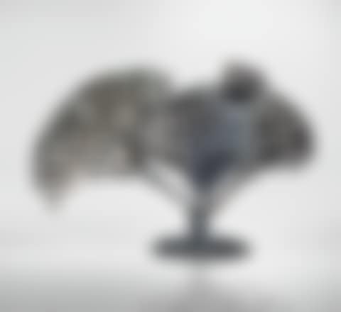 UNTITLED (BUSH) (preview)