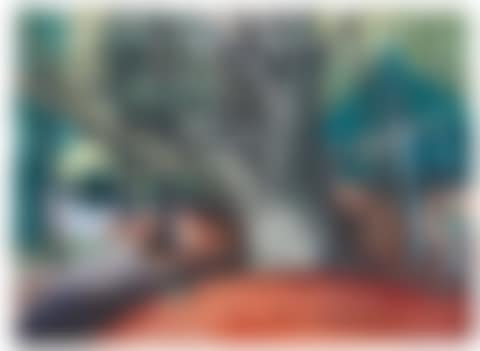 UNTITLED (WOODED LANDSCAPE) (preview)