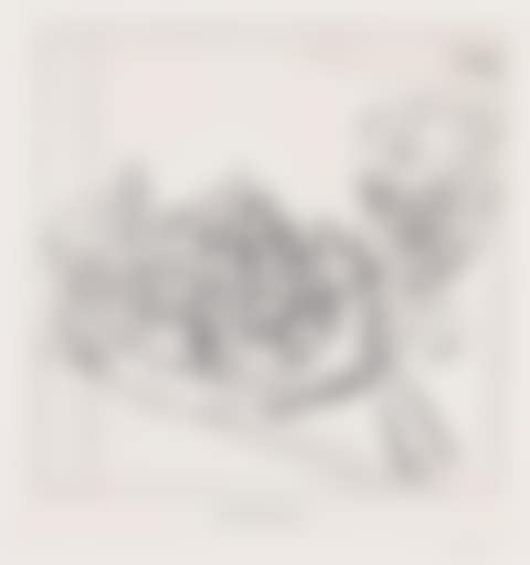 MUSHROOMS (THE SMALL PLATE) (B. 203) (preview)