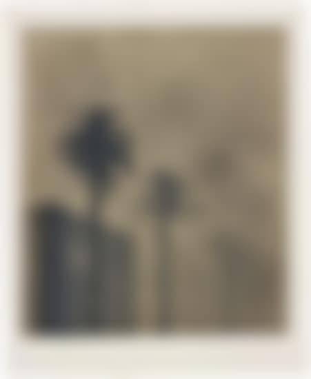 Dark Mist (preview)