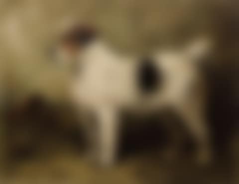 Terrier in a Garden (preview)