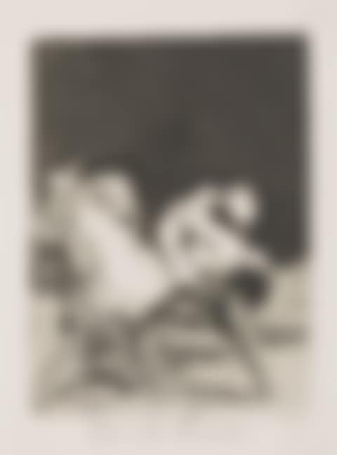 Que se la llevaron! (Plate 8 from: Los Caprichos) (preview)