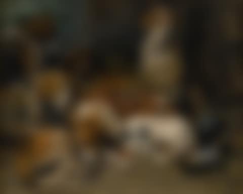 NEW FOREST BUCKHOUNDS AND A TERRIER IN THEIR LODGES  (preview)