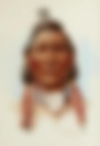 Chief Sorrel Horse (preview)