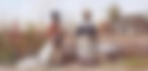 Good Crop (preview)
