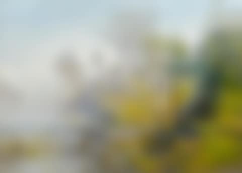 Everglade Landscape (preview)