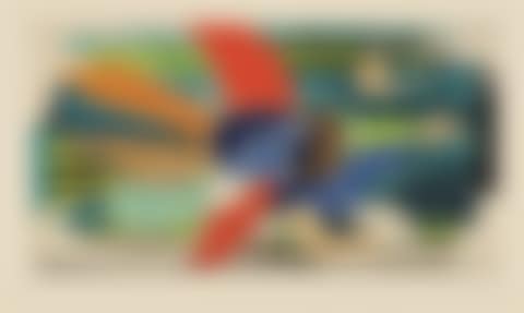 Oiseau multicolore (preview)