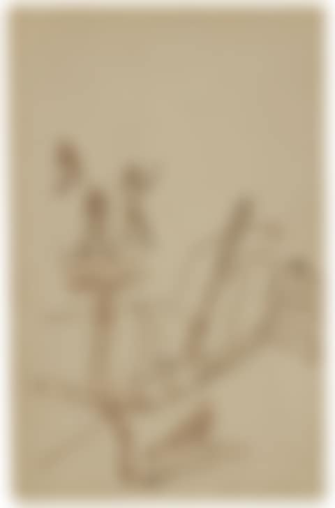 Ohne Titel (preview)