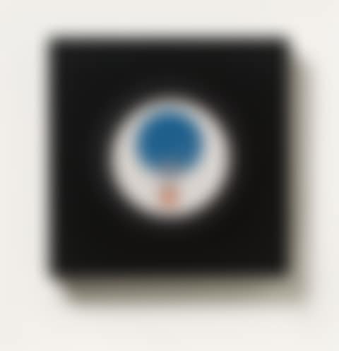 Rotoreliefs (Optical Disks) (preview)
