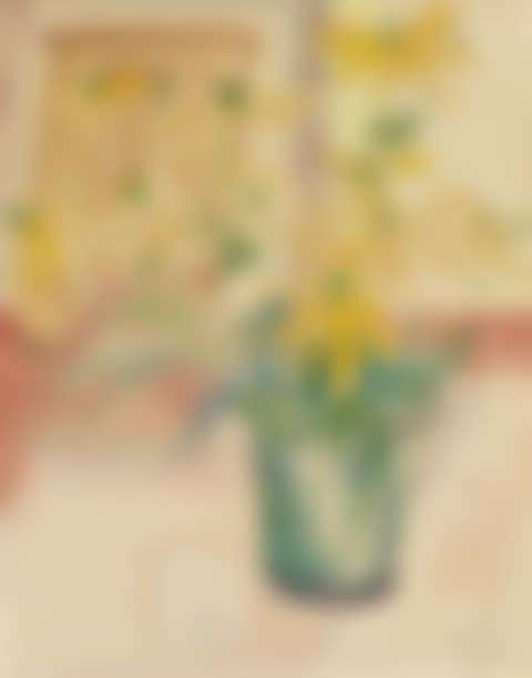 Helianthemum-Blüten (preview)
