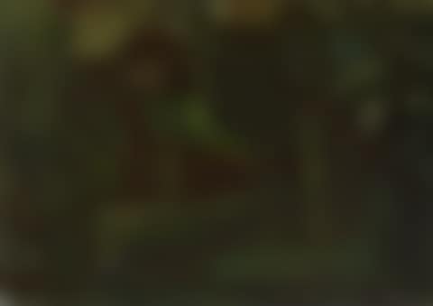 Farmhouse (Bauernhof) (preview)