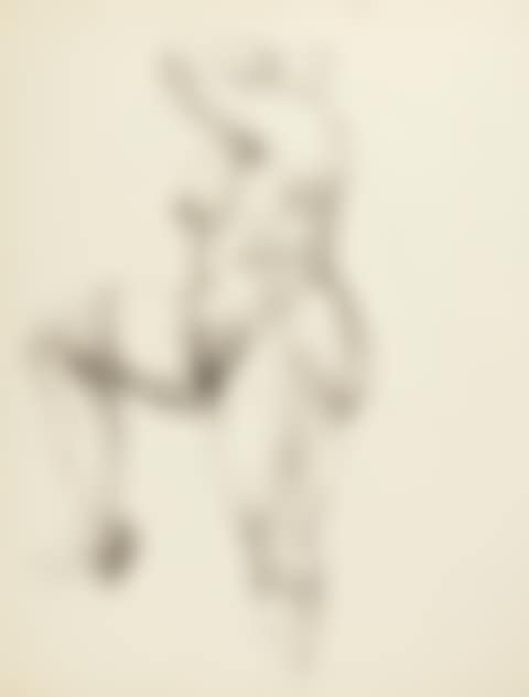 NACKTE MIT SEIDENSTRÜMPFEN (FEMALE NUDE, DRESSED IN STOCKINGS) (preview)