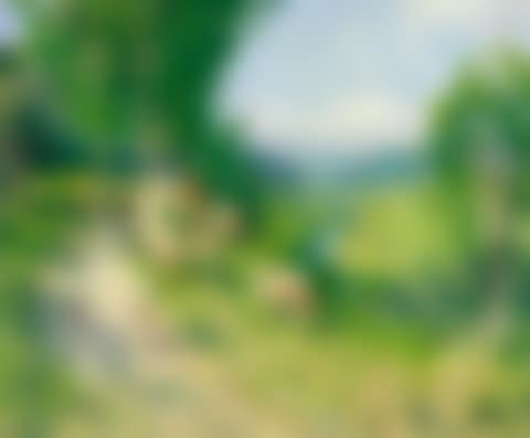 LE RETOUR DU TROUPEAU (preview)
