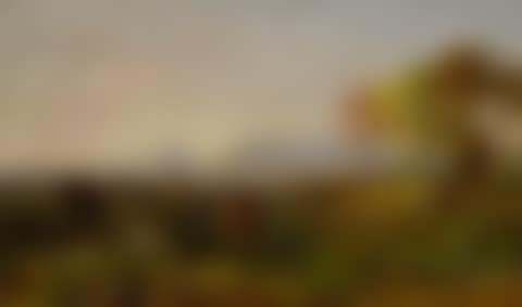 LANDSCAPE (preview)