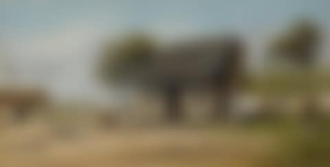 CABIN SCENE (preview)
