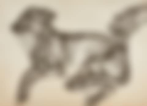 PLUTO AGED TWELVE (FIGURA 91) (preview)