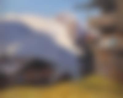Farmsteads in summery Tyrol (preview)