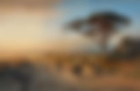 The Via Appia (preview)