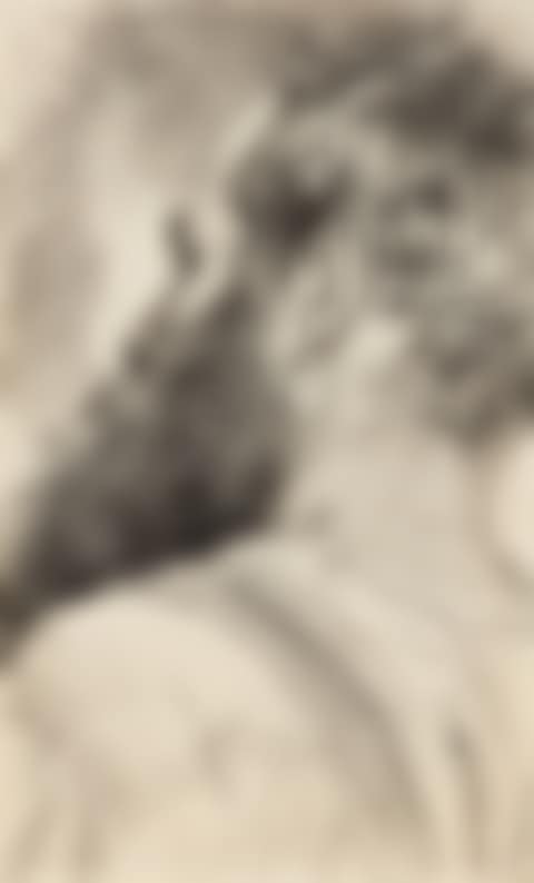 Bearded Man in Half Profile (preview)
