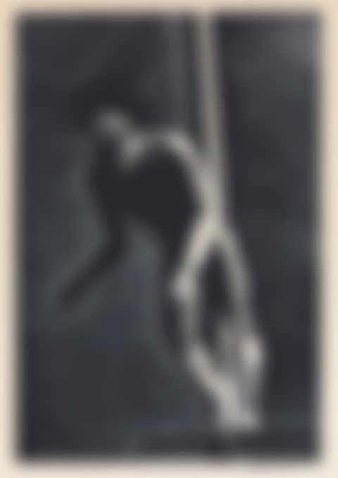 Diver (preview)