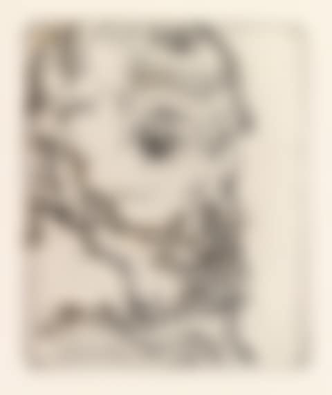 Bildnis Franz Hauer (preview)