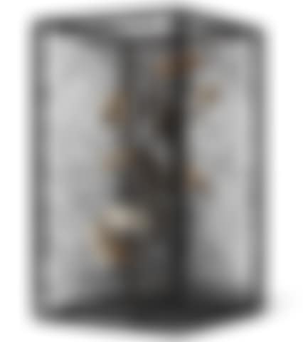 State of Being #2 (preview)