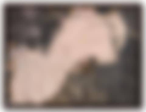 Matisse como pretexto (preview)