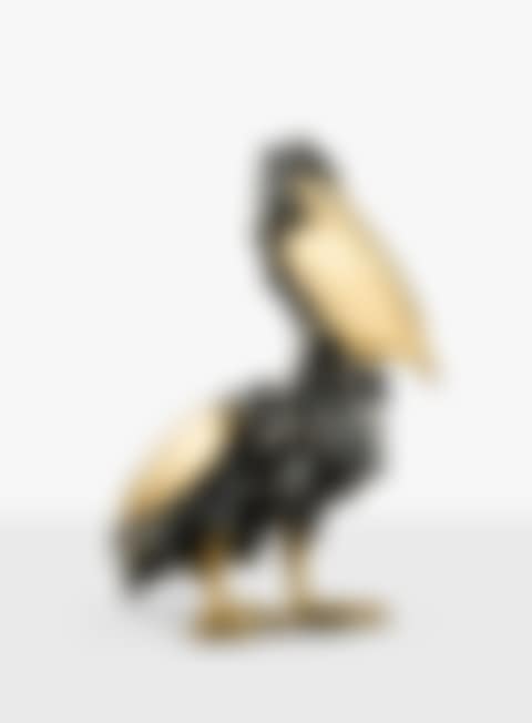 PELICAN (preview)