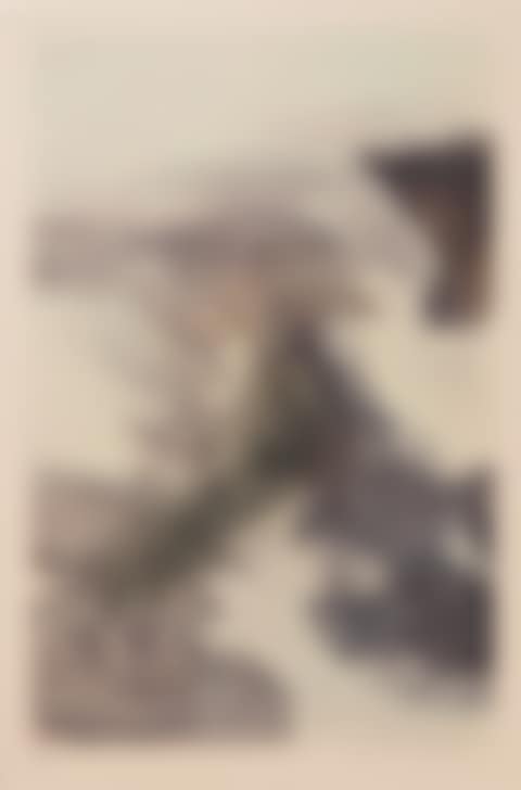 UNTITLED [SANS TITRE] (preview)