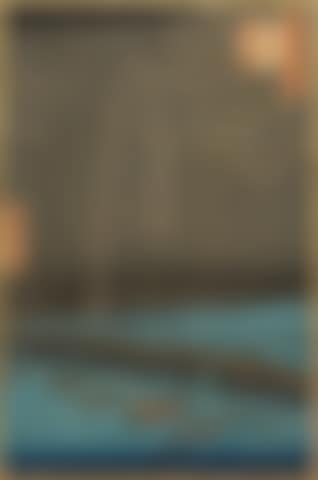Ryogoku hanabi (preview)