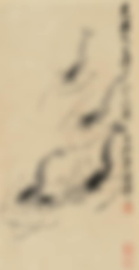 FIVE SHRIMPS (preview)