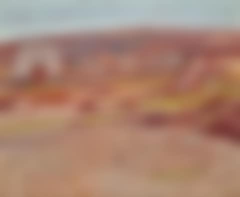 SCENE IN PALESTINE (preview)