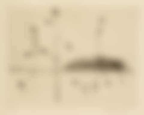 MICROCOSMOS (PLANT CYCLE) (L. 39) (preview)