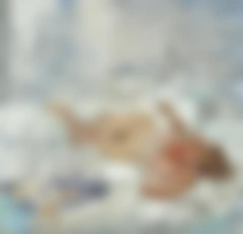 The Siesta II (preview)