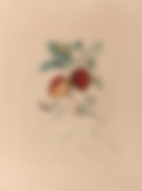 Flordali-the fruits: dragon apple (preview)