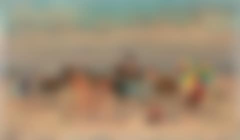 The little horses on the beach (preview)