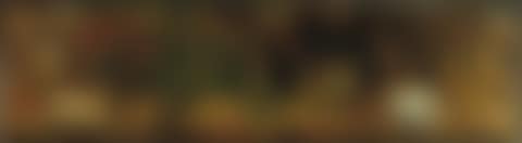 Untitled (mexican Bullfight) (preview)