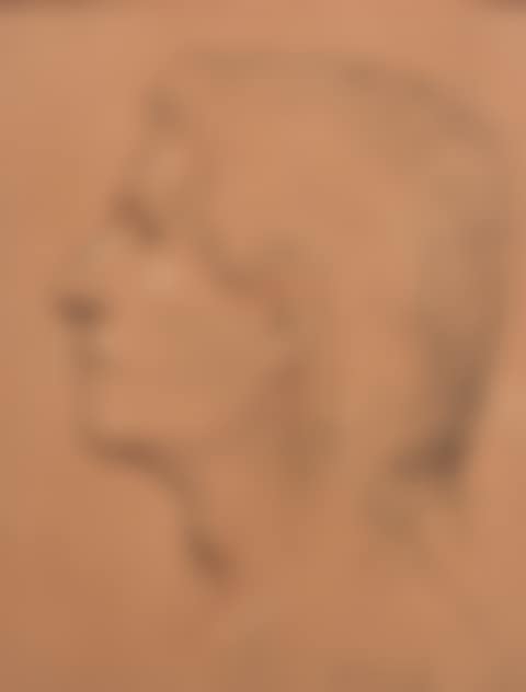 Portrait of man in profile (preview)